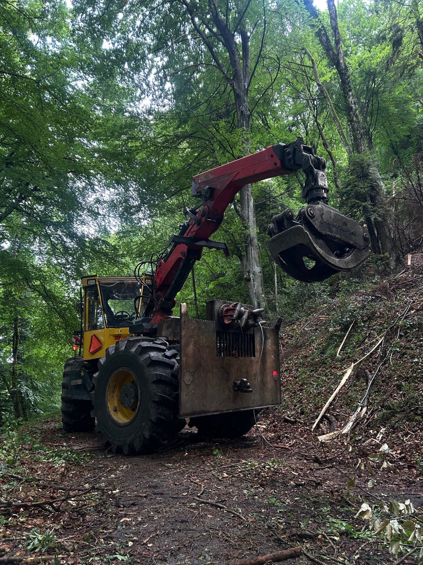 Welte en intervention dans une forêt