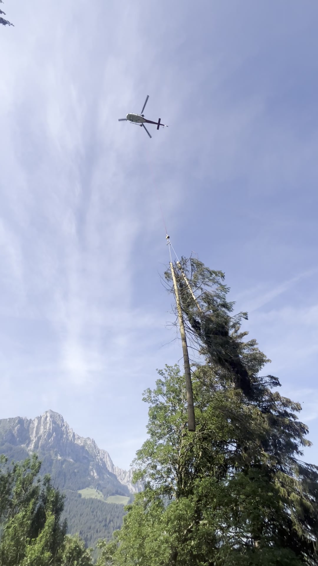 Débardage héliporté en montagne