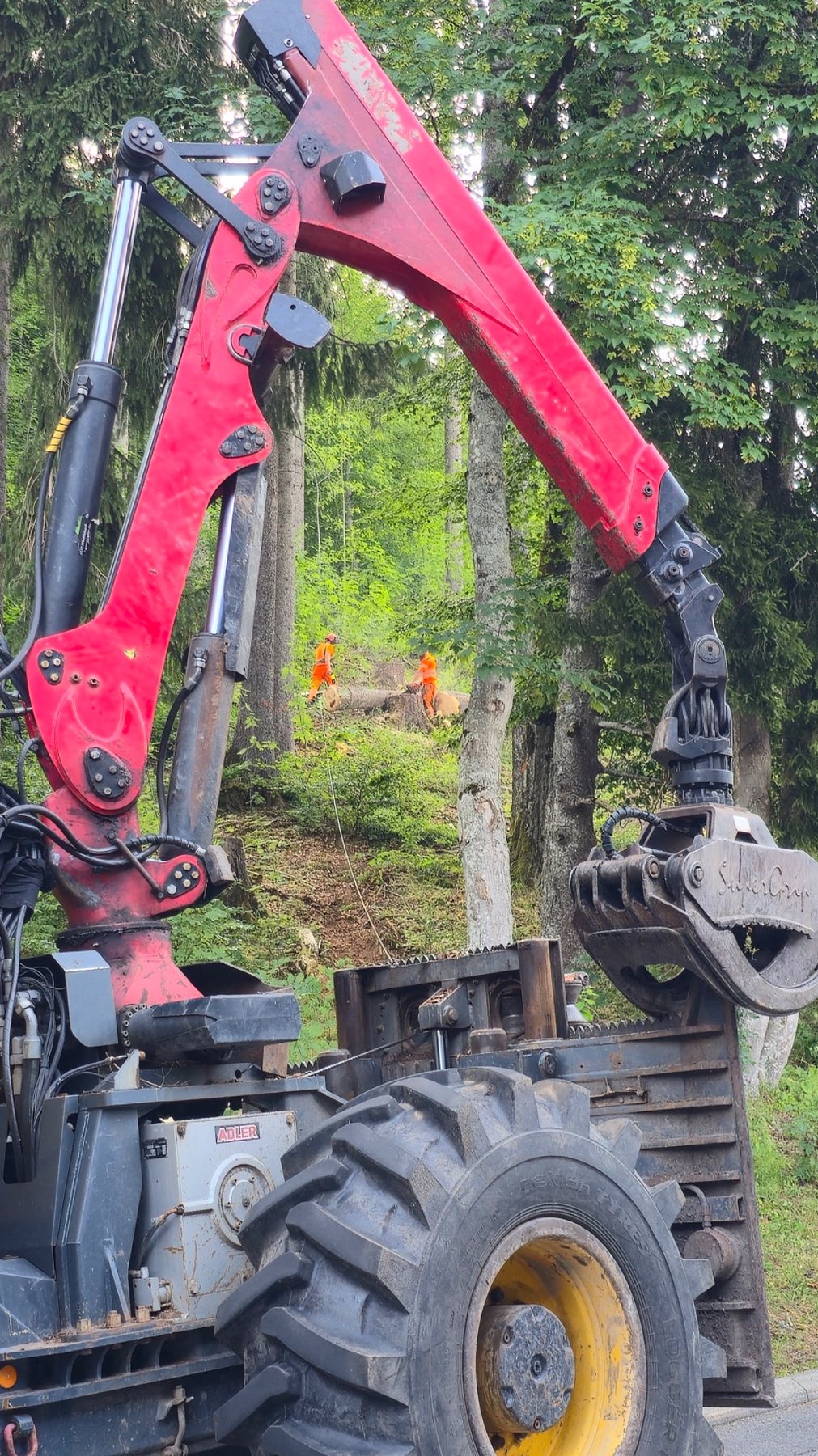 Welte et équipe forestière sur un chantier en pente